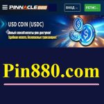 Pin880.com что за сайт? Можно ли регистрироваться?